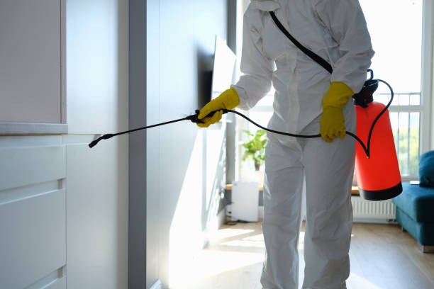 Best Crawl Space Mold Remediation in Liberty, KY
