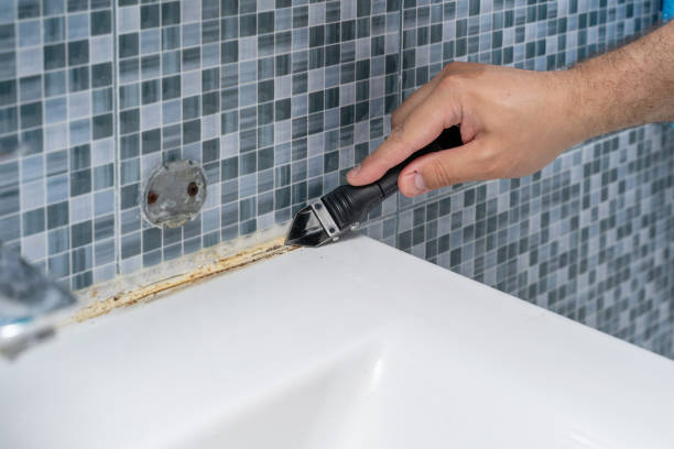 Best Emergency Mold Remediation in Liberty, KY