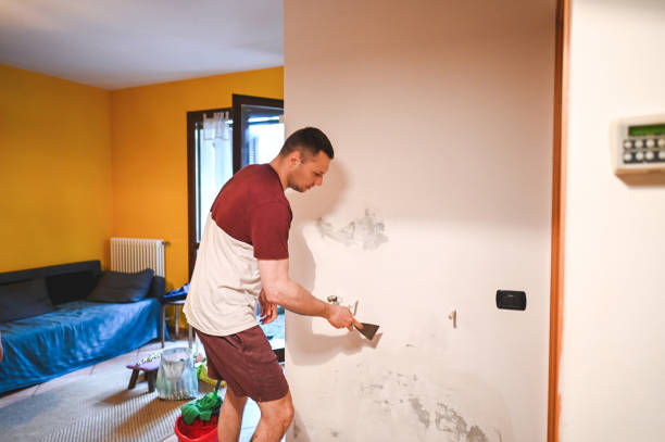 Best Attic Mold Remediation in Liberty, KY